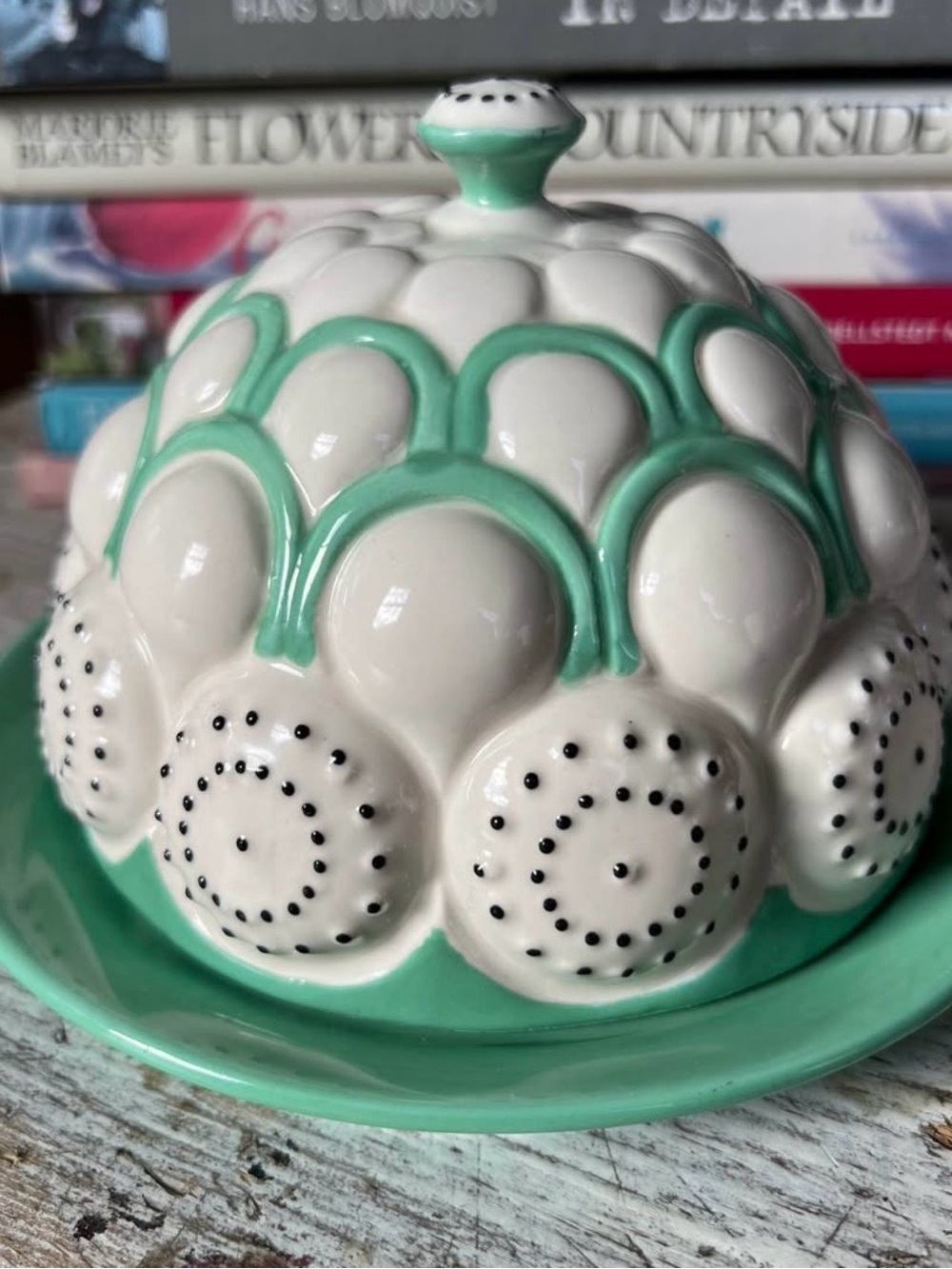 ANTHROPOLOGIE Mint Green Round Ceramic Dome Butter Dish Brassica Retro